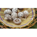 Dried Vegetable Without Stem (white flower mushroom)